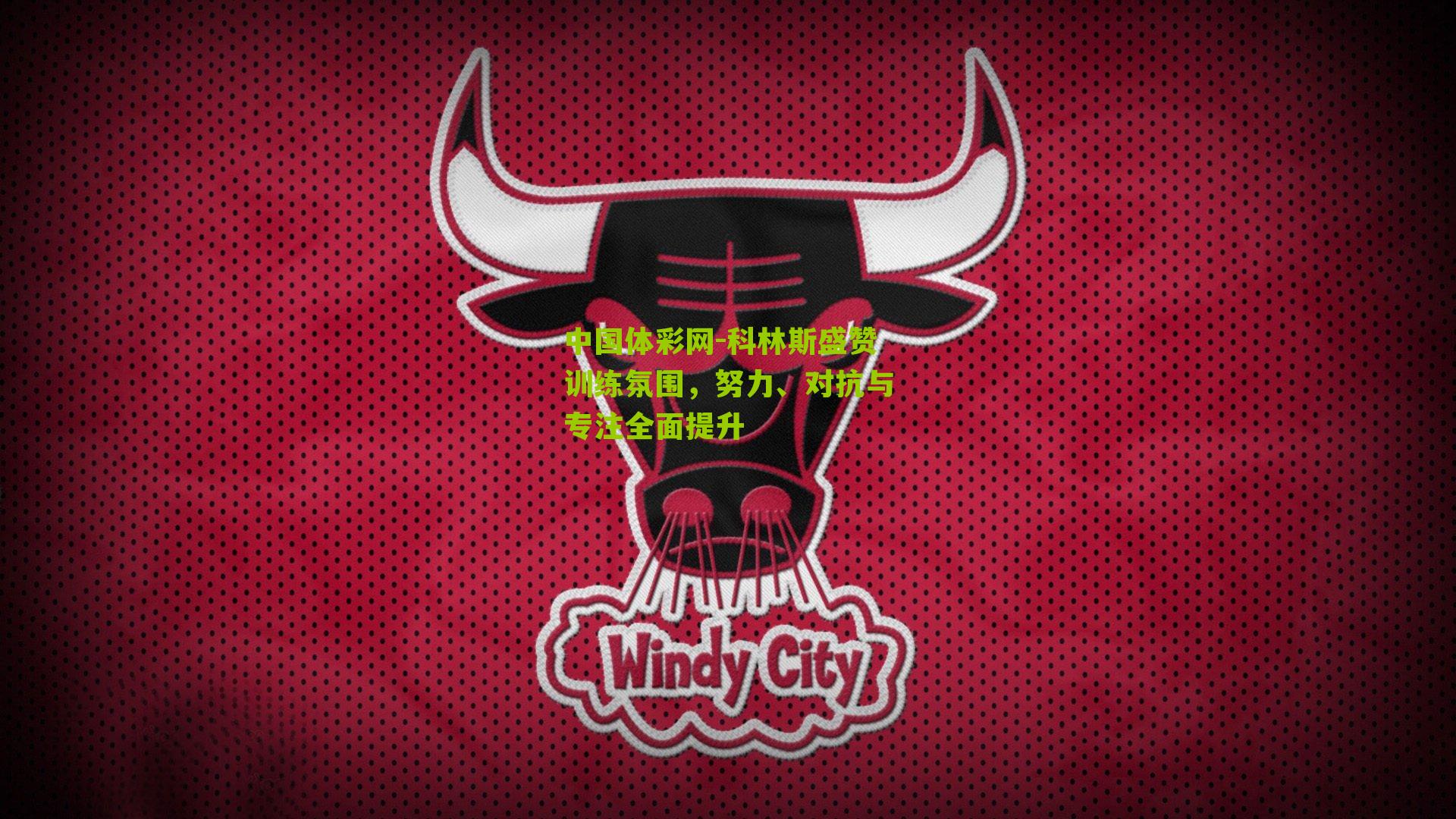 科林斯盛赞训练氛围，努力、对抗与专注全面提升